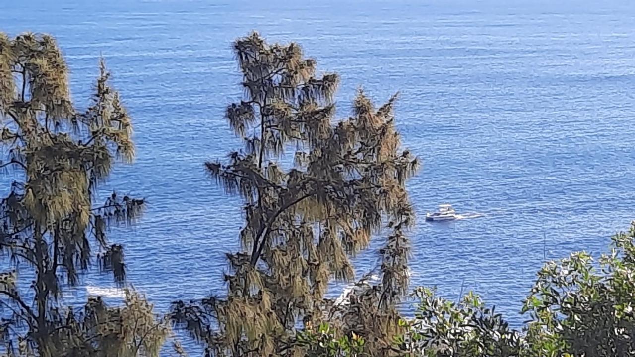 Chambre Vue Sur Mer Entre Grande Anse Et Manapany Petite Île Kültér fotó