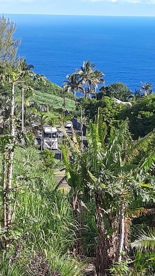 Chambre Vue Sur Mer Entre Grande Anse Et Manapany Petite Île Kültér fotó