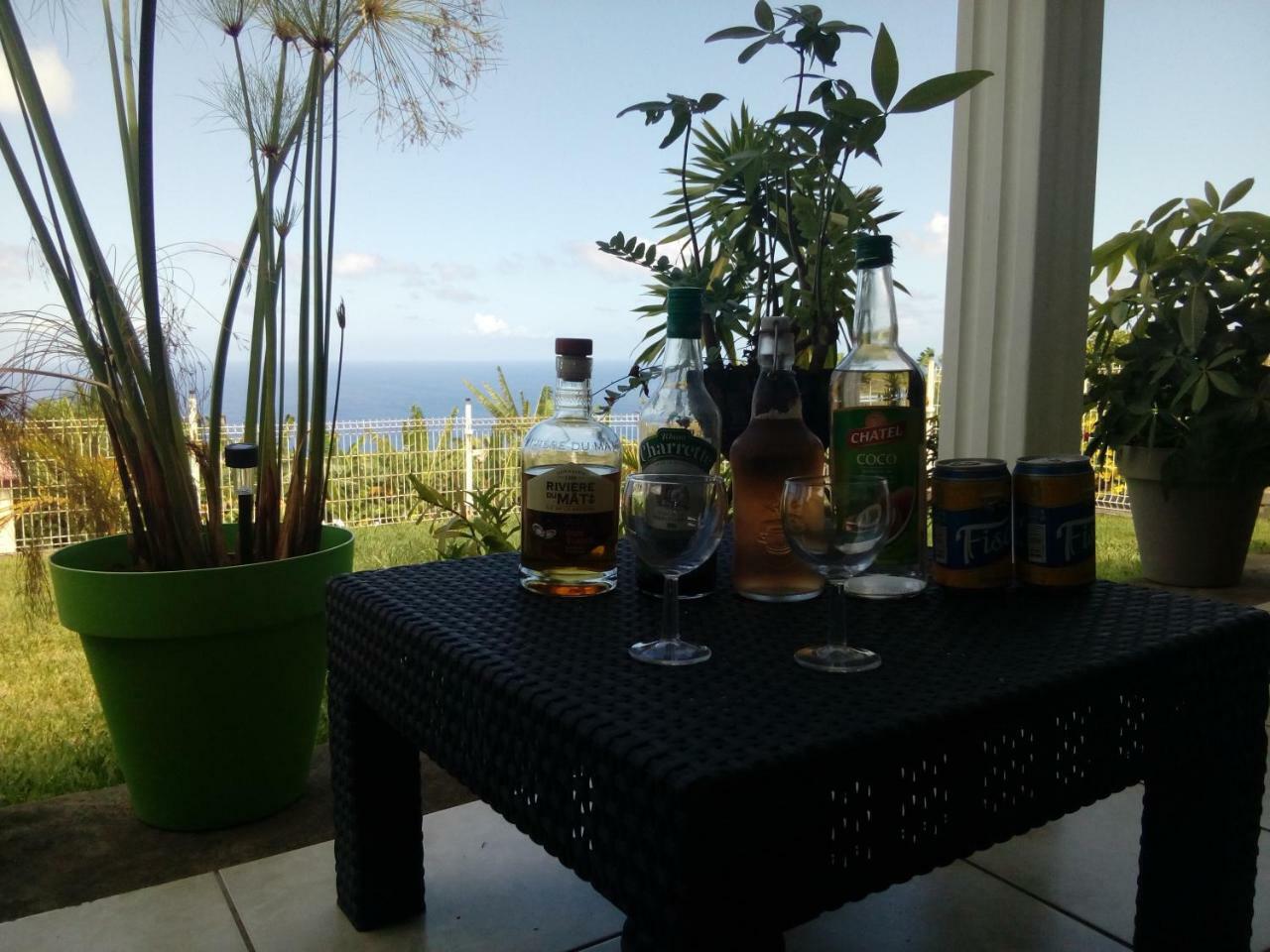 Chambre Vue Sur Mer Entre Grande Anse Et Manapany Petite Île Kültér fotó